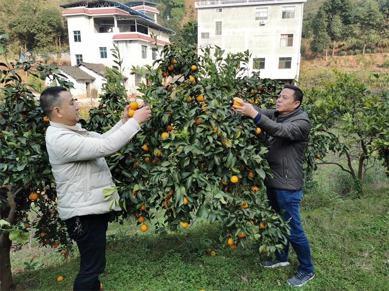 懷化(huà)保安,懷化(huà)押運,懷化(huà)聯網報警,懷化(huà)市保安公司